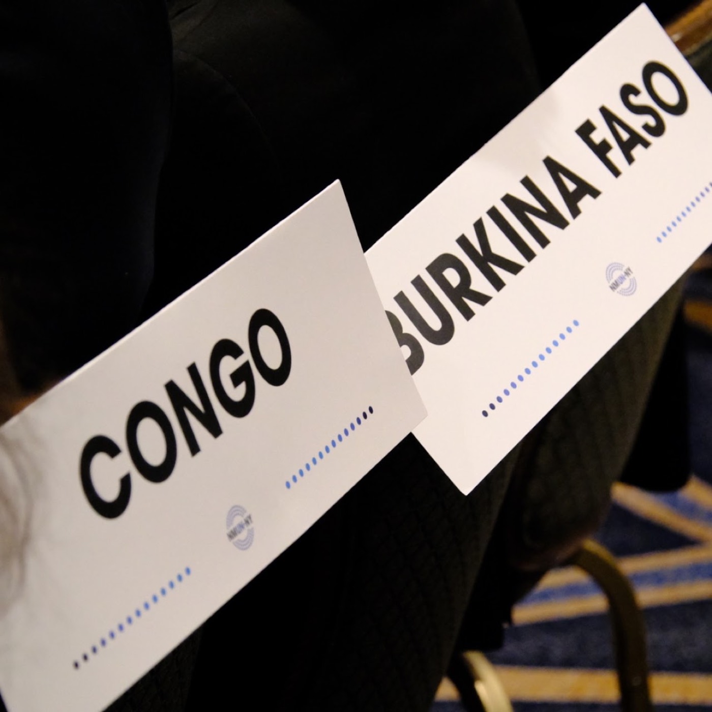 NMUN New York 2025
